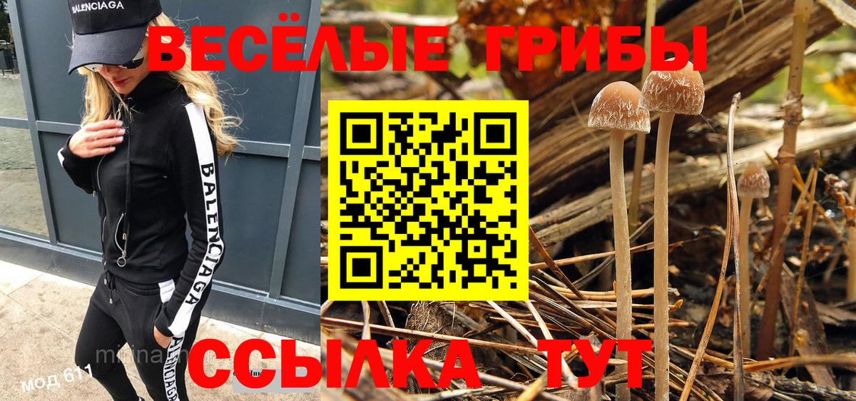 Галлюциногенные грибы Psilocybine cubensis  Вход с VPN  Ухта 