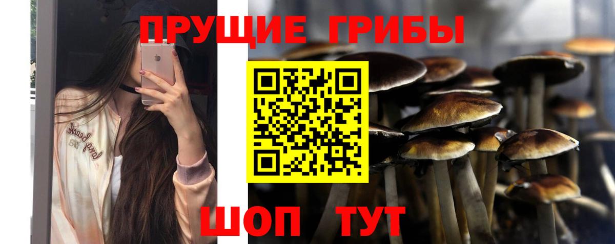 Псилоцибиновые грибы прущие грибы Ухта